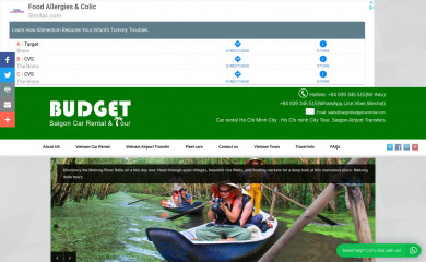 saigonbudgetcarrental.com screenshot