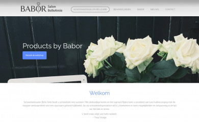 salonbelleamie.nl screenshot