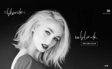 salonblonde.biz screenshot