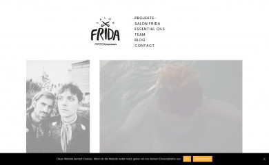 salonfrida.com screenshot