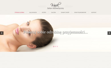 salonwacik.pl screenshot