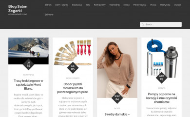 salonzegarki.pl screenshot
