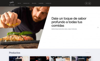 saldemarlobos.cl screenshot