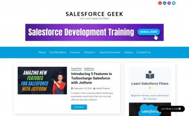 salesforcegeek.in screenshot