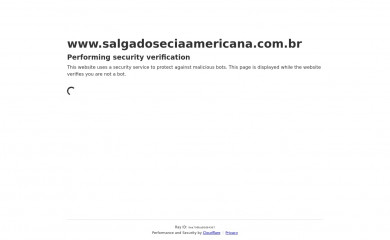 salgadoseciaamericana.com.br screenshot