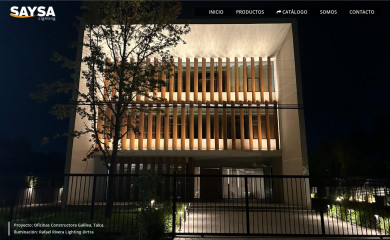 salinassilva.cl screenshot