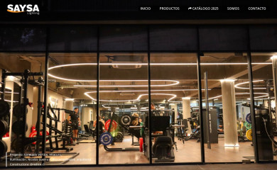 salinassilva.cl screenshot