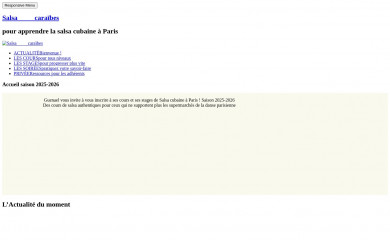 salsacaraibes.fr screenshot