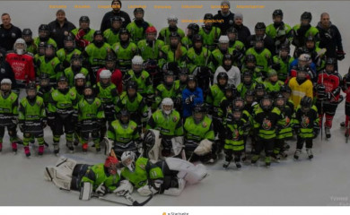 salzgitter-young-icefighters.de screenshot