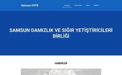 samsundsyb.org.tr screenshot
