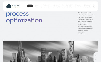 sanamanalytics.com screenshot