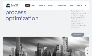 sanamanalytics.com screenshot