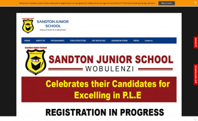 sandtonjuniorschool.com screenshot