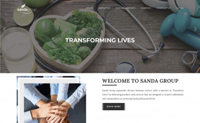 sandagroup.com screenshot