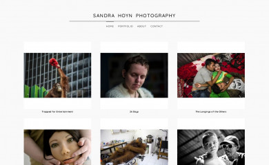 sandrahoyn.de screenshot