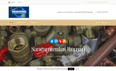 saneamientosroman.com screenshot
