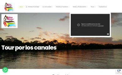 sanfranciscotortuguero.com screenshot