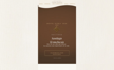 santiagotexmelucan.com screenshot
