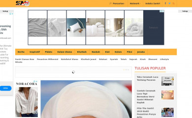 santrinow.com screenshot