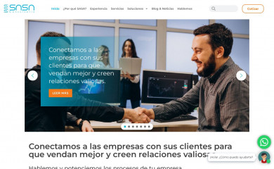 sasaconsultoria.com screenshot