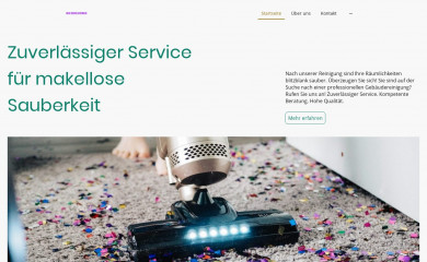 saric-dienstleistungen.de screenshot