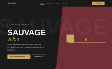 sauvagesalon.ro screenshot