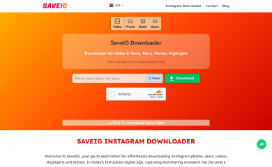 saveig.in screenshot