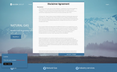 saxon-grp.com screenshot