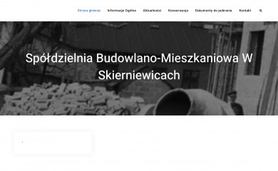 sbmskierniewice.pl screenshot