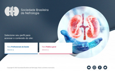 sbn.org.br screenshot