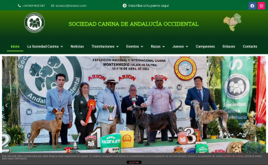 scaocc.com screenshot