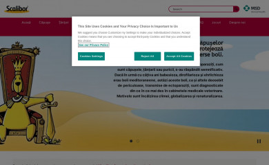 scalibor.ro screenshot