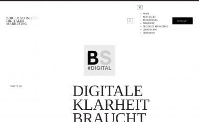 schnepp.de screenshot