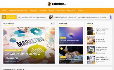 schober.pl screenshot