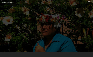 schleser.nz screenshot