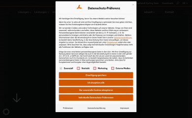 schwingshandl.com screenshot