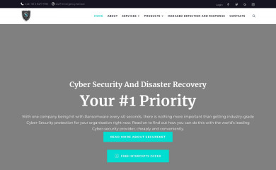securenet.id screenshot