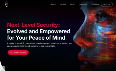 securiton.com.au screenshot