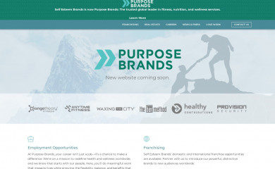 https://www.sebrands.com/ screenshot