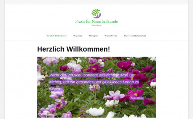 seda-altinay.de screenshot