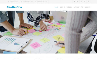 seedelfina.com screenshot