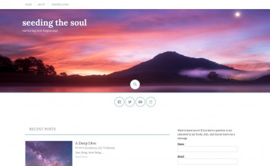 seedingthesoul.com screenshot