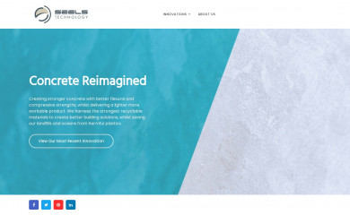 seelstechnology.com screenshot