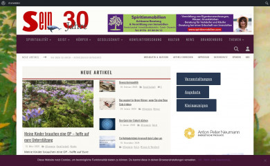 sein.de screenshot