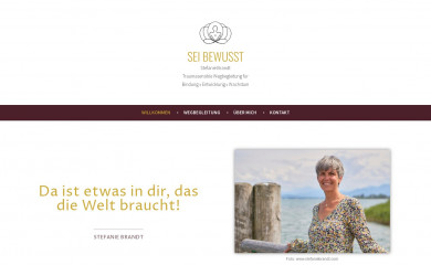 seibewusst.online screenshot