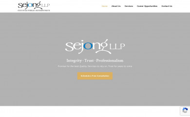 sejongllp.com screenshot