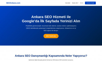 seoankara.com screenshot