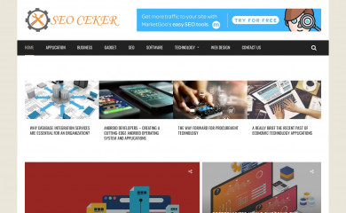 seoceker.com screenshot