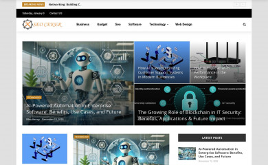 seoceker.com screenshot