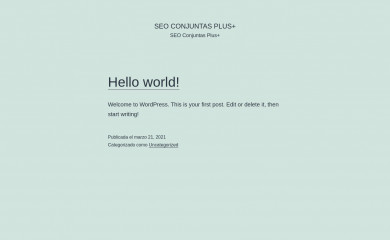 seoconjuntas-plus.com screenshot
